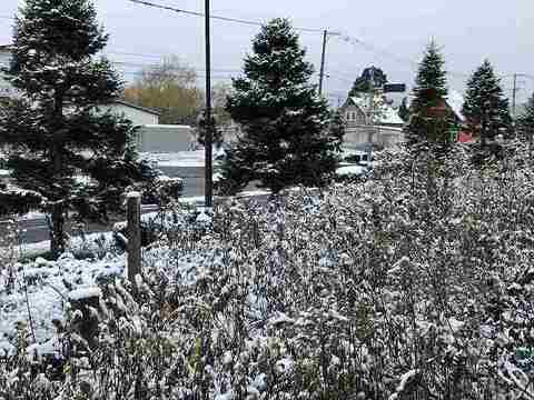 IMG_3483.jpg