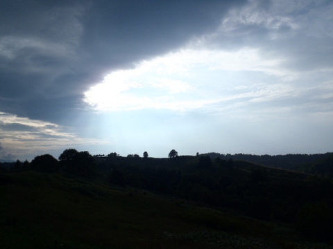 P8190661.JPG