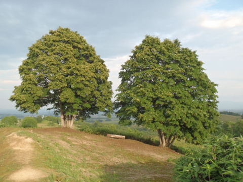 P8190675.JPG
