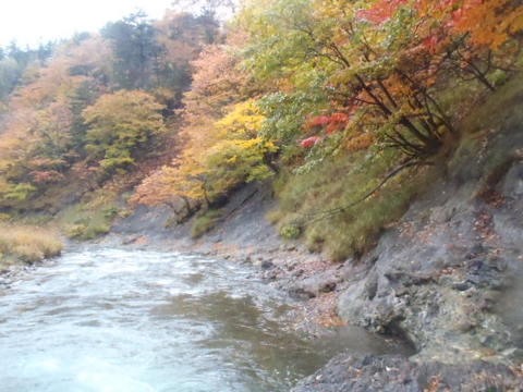 PA211159.JPG