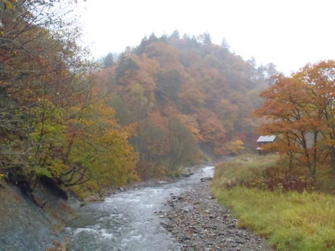 PA211178.JPG