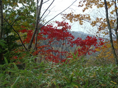 PA211213.JPG