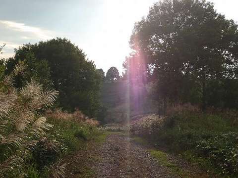 s-P8190671.jpg