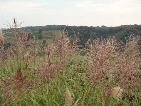 s-P8190684.jpg