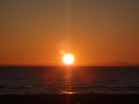 sP8250854.jpg